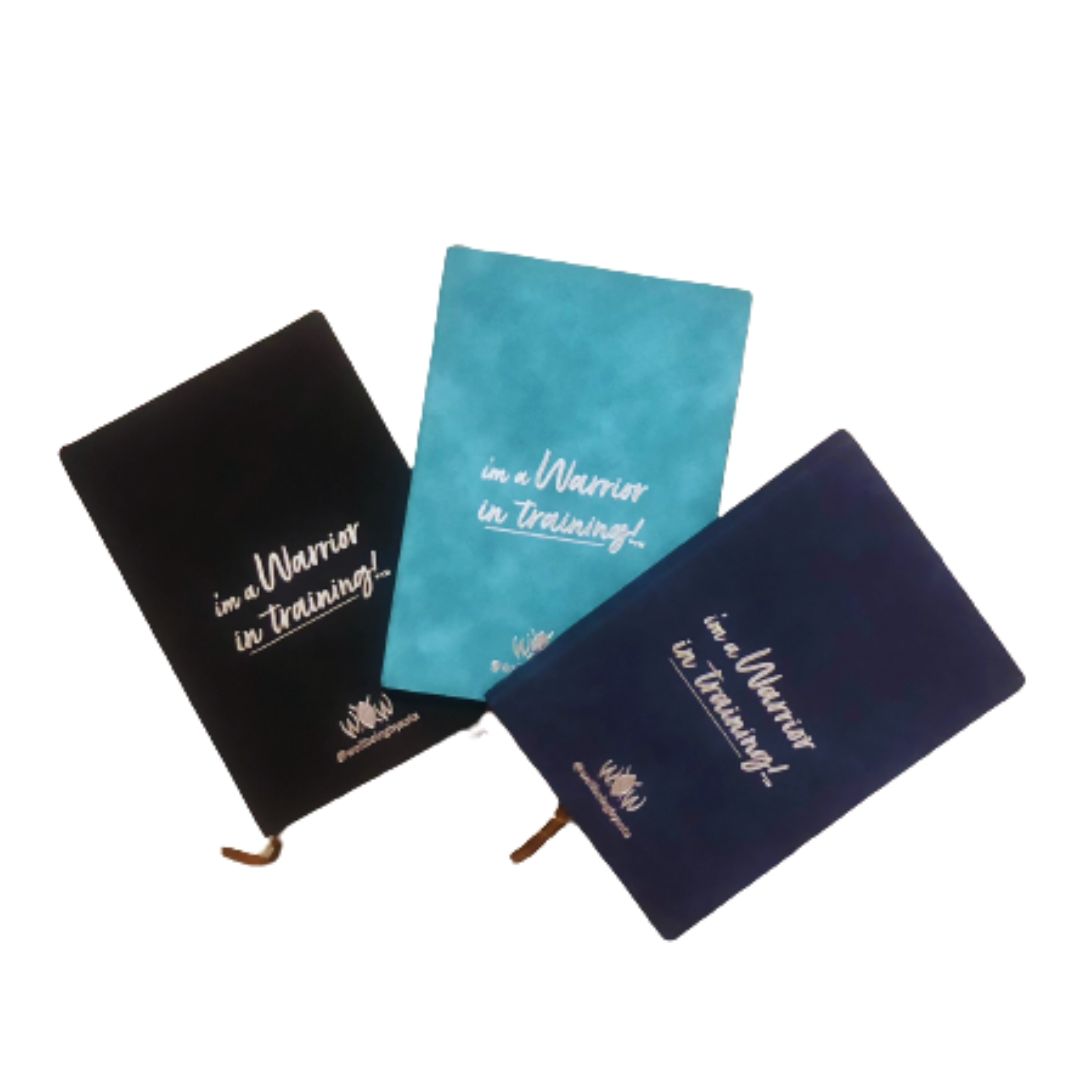 Mega Daily Journal 300pg